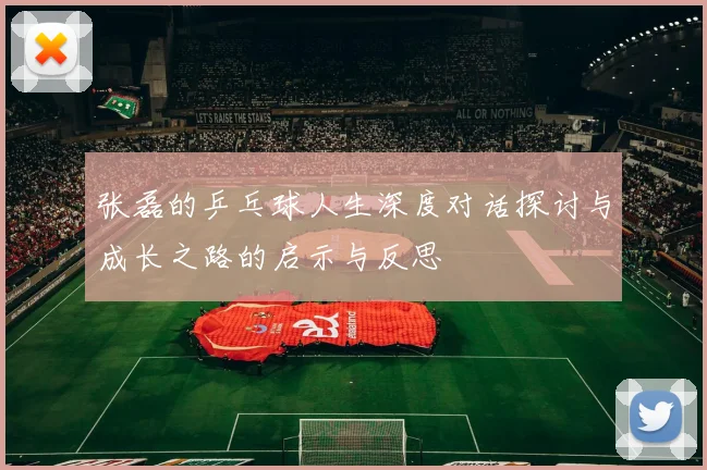 张磊的乒乓球人生深度对话探讨与成长之路的启示与反思