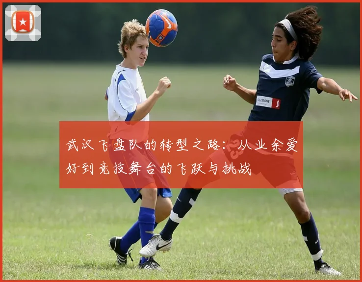 武汉飞盘队的转型之路：从业余爱好到竞技舞台的飞跃与挑战